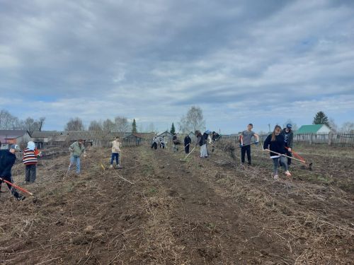 «Сад памяти» в Старых Челнах: школьники бережно хранят традиции