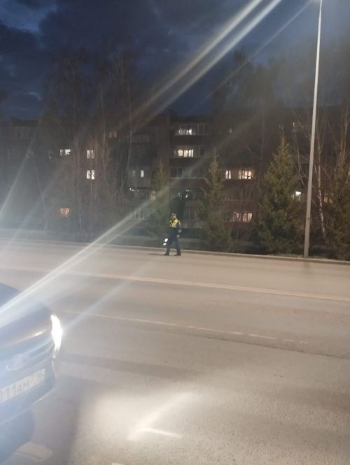 Итоги операции «Тоннель»: выявлены нарушения ПДД, связанные с безопасностью детей и водителей