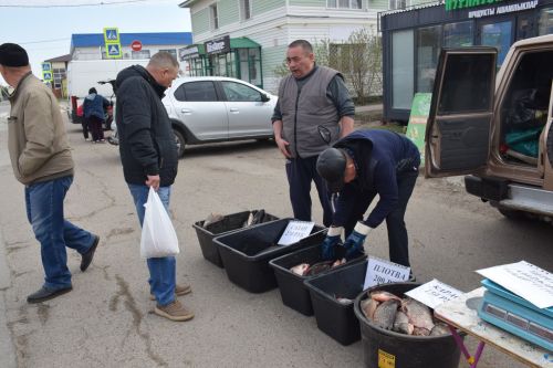 В Нурлате сегодня праздничная ярмарка