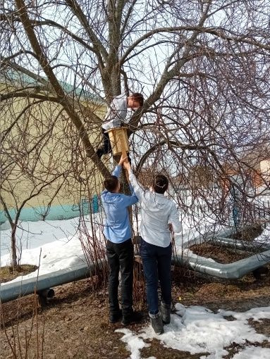Школьники Нурлатского района смастерили десятки скворечников для птиц