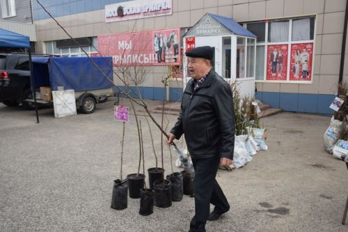В Нурлате проходит очередная весенняя ярмарка