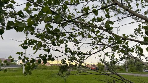 В Татарстане ожидается гроза и сильный ветер