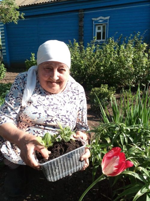 «Гарденотерапия» в Нурлате: цветочное настроение для пожилых и инвалидов