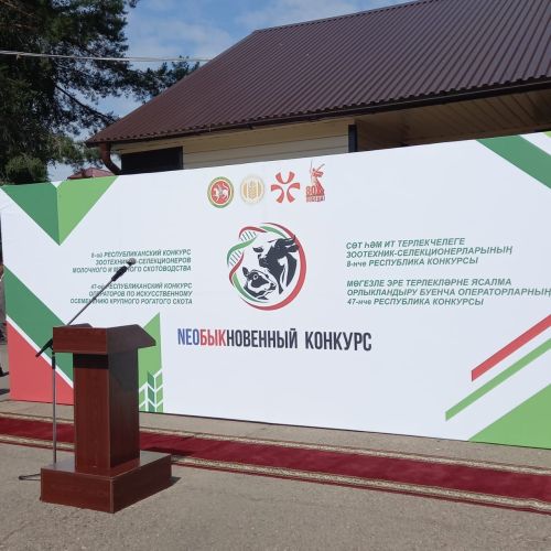 Вера Артамонова представляет Нурлатский  район на республиканском конкурсе