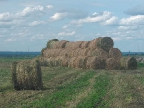 В Нурлатском районе продолжается заготовка кормов