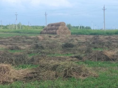 В Нурлатском районе продолжается заготовка кормов