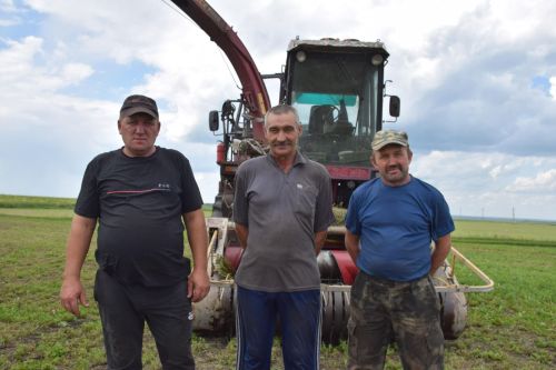 От качества кормов – к продуктивности скота: в Нурлатском районе кипит кормозаготовка