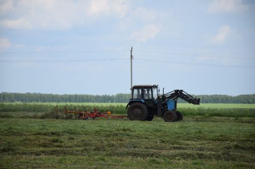 От качества кормов – к продуктивности скота: в Нурлатском районе кипит кормозаготовка