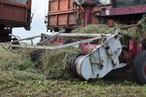 От качества кормов – к продуктивности скота: в Нурлатском районе кипит кормозаготовка