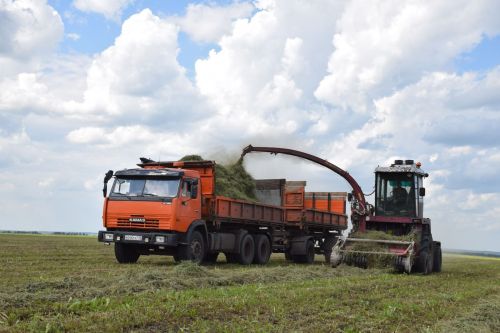 От качества кормов – к продуктивности скота: в Нурлатском районе кипит кормозаготовка