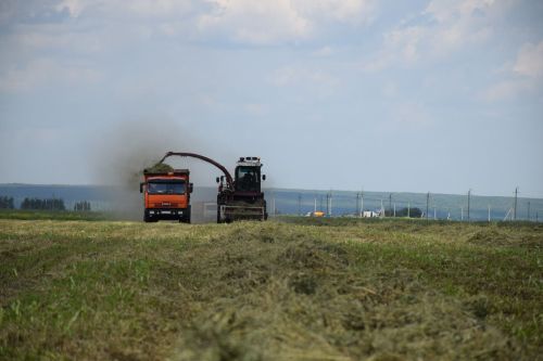 От качества кормов – к продуктивности скота: в Нурлатском районе кипит кормозаготовка