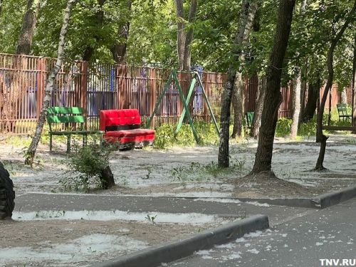 Тополиный пух: как избежать пожара