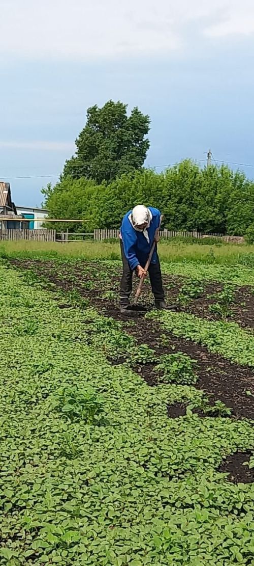 Огонь в душе и мотыга в руках: Ркия Минвалиева в свои 95 пропалывает картошку и спешит на помощь
