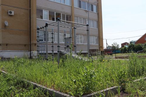 Травяной беспредел: коммунальщики не успевают за ростом сорняков