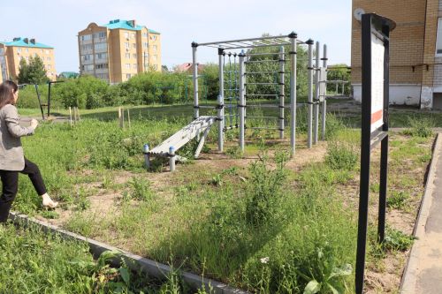 Травяной беспредел: коммунальщики не успевают за ростом сорняков
