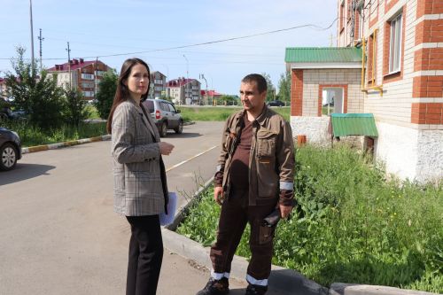 Травяной беспредел: коммунальщики не успевают за ростом сорняков