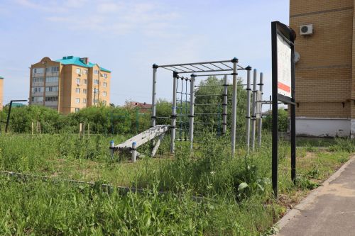 Травяной беспредел: коммунальщики не успевают за ростом сорняков