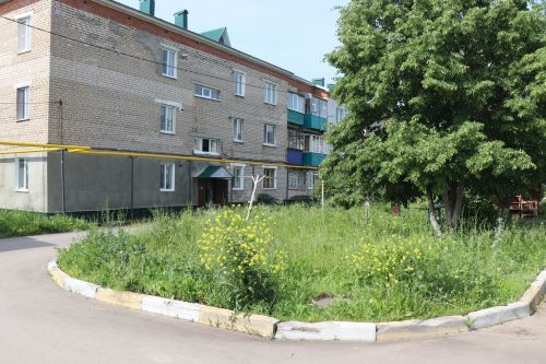 Травяной беспредел: коммунальщики не успевают за ростом сорняков