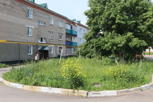 Травяной беспредел: коммунальщики не успевают за ростом сорняков