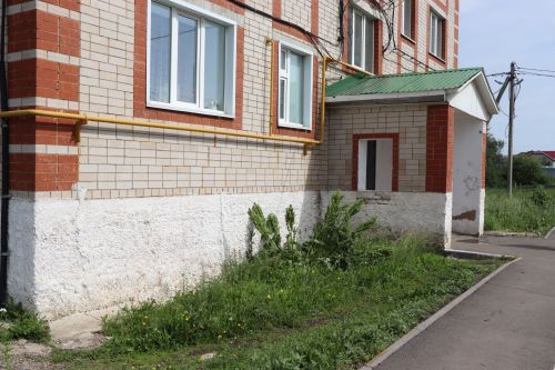 Травяной беспредел: коммунальщики не успевают за ростом сорняков