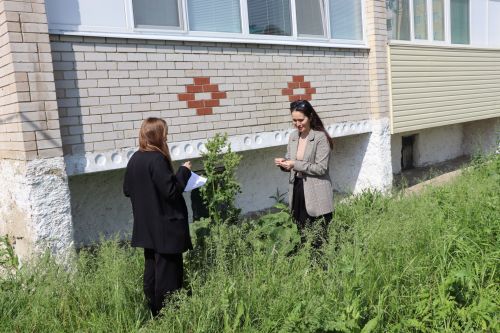 Травяной беспредел: коммунальщики не успевают за ростом сорняков