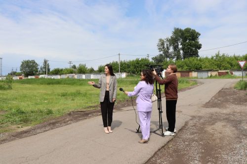 Травяной беспредел: коммунальщики не успевают за ростом сорняков