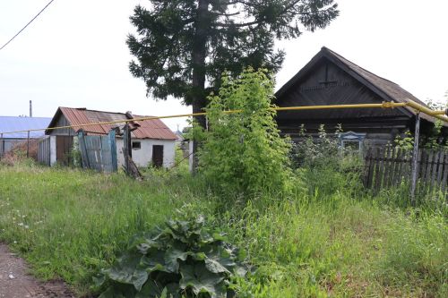 Травяной беспредел: коммунальщики не успевают за ростом сорняков