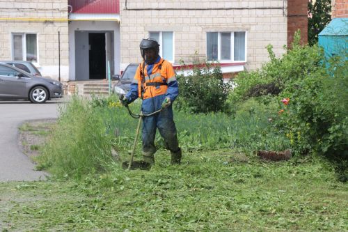Травяной беспредел: коммунальщики не успевают за ростом сорняков