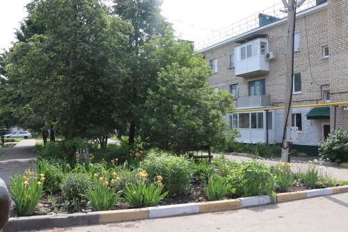 Травяной беспредел: коммунальщики не успевают за ростом сорняков