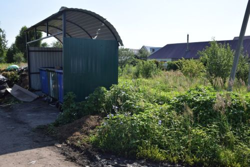 Карантинный сорняк в Нурлате: что нужно знать об амброзии