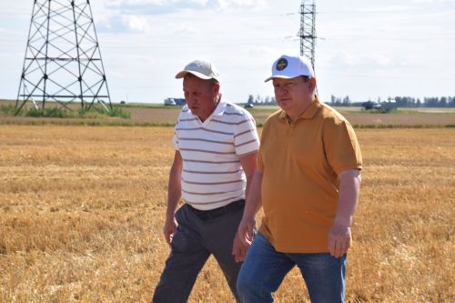 В Нурлатском районе стартовала уборочная кампания