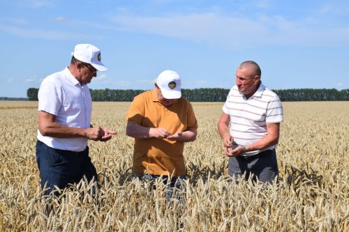 В Нурлатском районе стартовала уборочная кампания