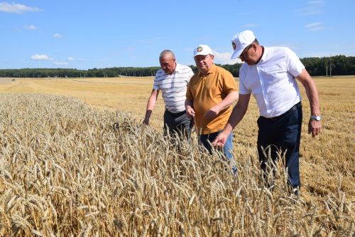 В Нурлатском районе стартовала уборочная кампания