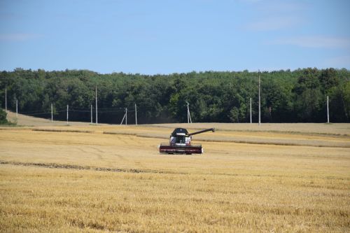 В Нурлатском районе стартовала уборочная кампания