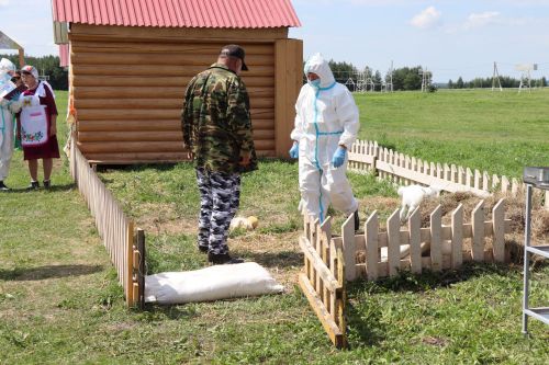 В Нурлате прошли Межрегиональные командно-штабные учения по ликвидации очага чумы мелких жвачных животных