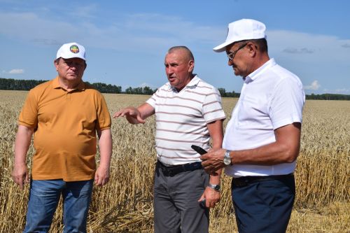 В Нурлатском районе стартовала уборочная кампания