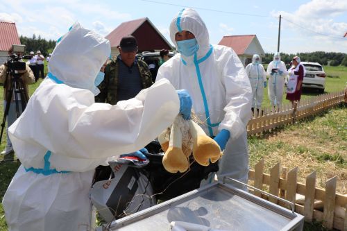 В Нурлате прошли Межрегиональные командно-штабные учения по ликвидации очага чумы мелких жвачных животных
