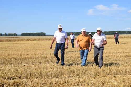 В Нурлатском районе стартовала уборочная кампания
