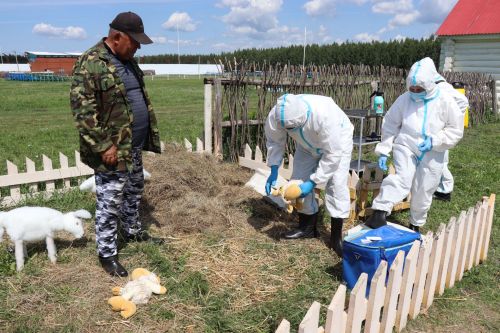 В Нурлате прошли Межрегиональные командно-штабные учения по ликвидации очага чумы мелких жвачных животных