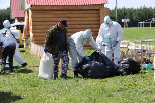В Нурлате прошли Межрегиональные командно-штабные учения по ликвидации очага чумы мелких жвачных животных