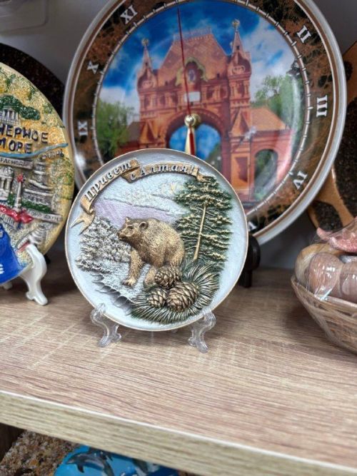 Юный путешественник из Казани подарил библиотеке Нурлата кусочек Алтая