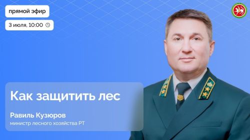 Прямой эфир с министром лесного хозяйства Татарстана: защита лесов и актуальные вопросы