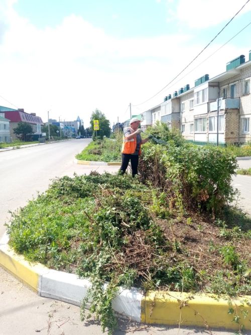 УК ЖКХ привело в порядок кустарники на улице Советской