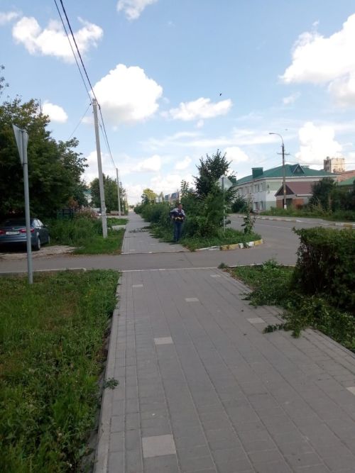 УК ЖКХ привело в порядок кустарники на улице Советской