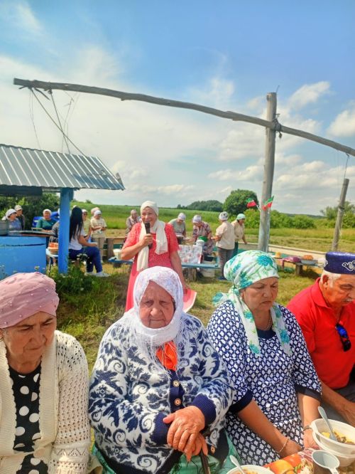 В Старом Ауле прошёл день села