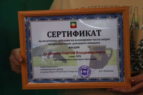 В личном подсобном хозяйстве Глушкиных из Гайтанкино 6 дойных коров
