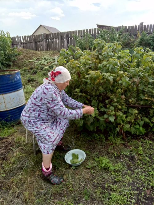 Подопечные центра «Гармония» приготовили 3000 целебных чаёв для участников СВО