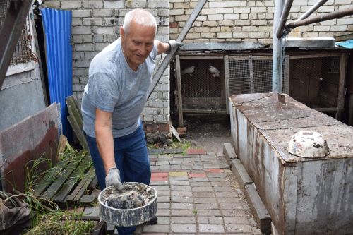 Белые голуби над Нурлатом: Праздничная традиция Леонида Палькейкина