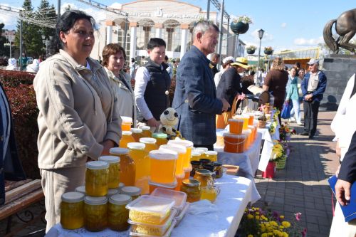 В Нурлате традиционный Фестиваль меда вновь собрал гостей