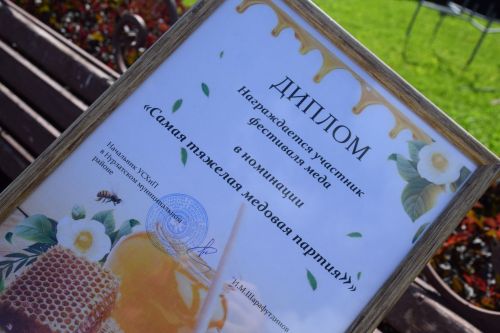 В Нурлате традиционный Фестиваль меда вновь собрал гостей